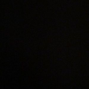 Meet your Posher, Sydnee